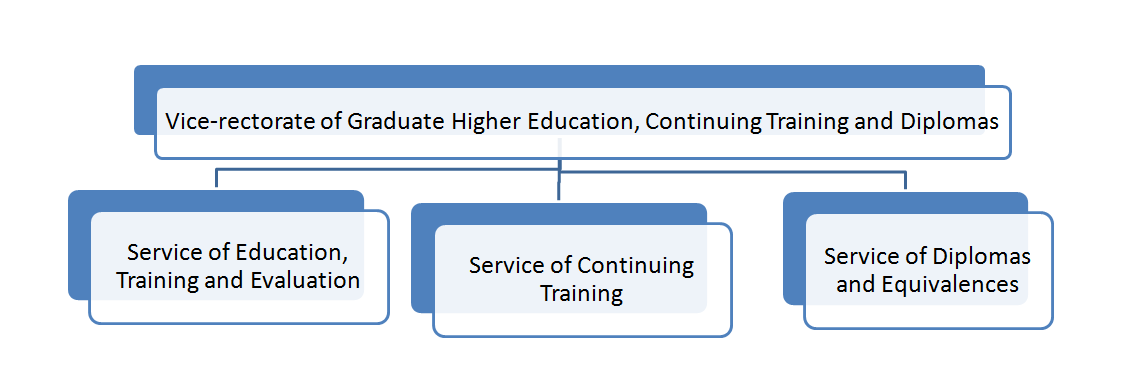 Organizational Chart of the services VRRE