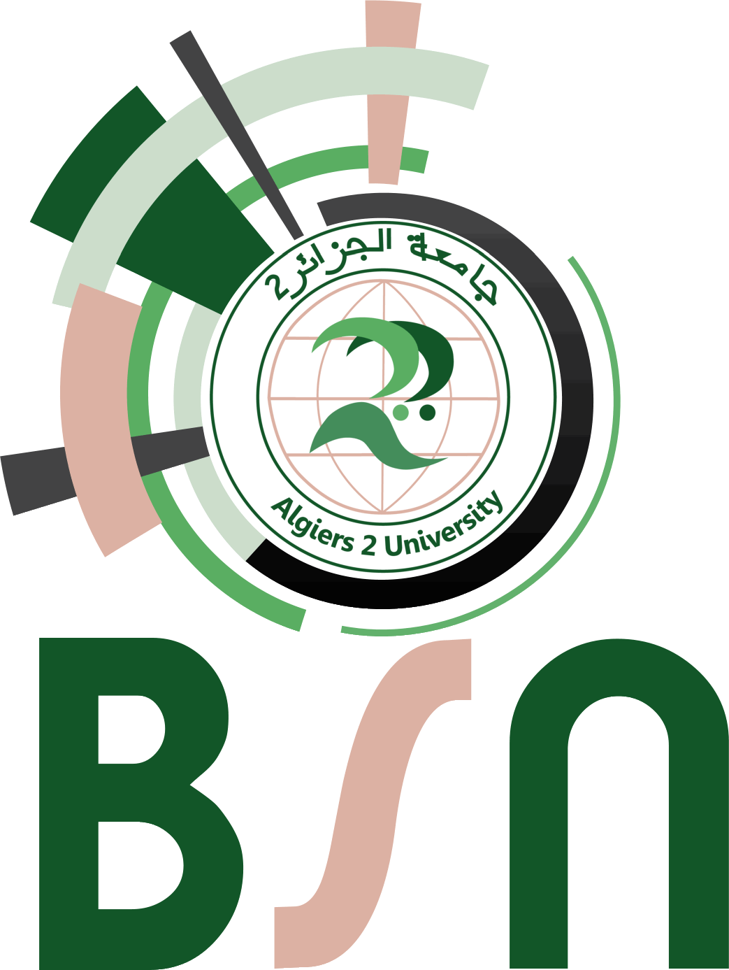 bsn-logo